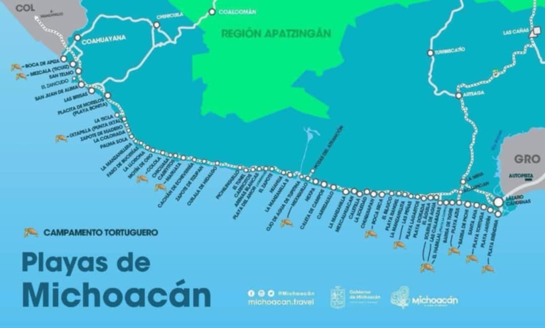 Turtle Migration Coast Of Michoacán