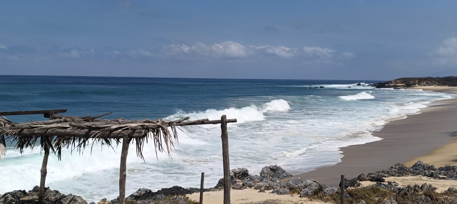 Turtle Migration Coast Of Michoacán